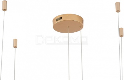 Подвесной светильник Ringolight ZRS.33320.63F
