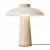 Настольная лампа декоративная Sunspot FR5482TL-L7BG