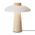 Настольная лампа декоративная Sunspot FR5482TL-L7BG