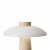 Настольная лампа декоративная Sunspot FR5482TL-L7BG