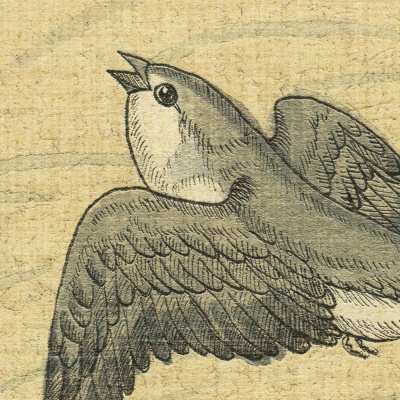ONDA