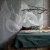 IMPRESSIO