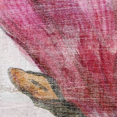 RED MAGNOLIA