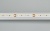 Лента MICROLED-5000 24V White-CDW 8mm (2216, 240 LED/m, Bipolar) (Arlight, 9.6 Вт/м, IP20)