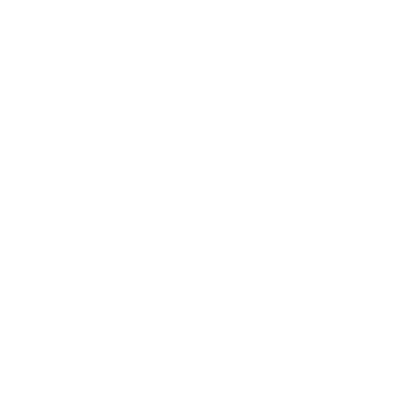 ELION 1
