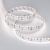 Лента RS 2-5000 24V Day4000 2x2 15mm (3014, 240 LED/m, LUX) (Arlight, 19.2 Вт/м, IP20) Лента RS 2-5000 24V Day4000 2x2 15mm (3014, 240 LED/m, LUX) (Arlight, 19.2 Вт/м, IP20)
