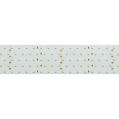 Лента RT 2-2500 24V Day4000 5x2 (2835, 875 LED, LUX) (Arlight, 36 Вт/м, IP20)