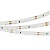 Лента RT 2-5000 12V Day4000 (3528, 300 LED, LUX) (Arlight, 4.8 Вт/м, IP20)