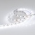 Лента RT 2-5000 12V White6000 2x (5060, 300 LED, LUX) (Arlight, 14.4 Вт/м, IP20) Лента RT 2-5000 12V White6000 2x (5060, 300 LED, LUX) (Arlight, 14.4 Вт/м, IP20)