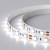 Лента RT 2-5000 12V White6000 2x (5060, 300 LED, LUX) (Arlight, 14.4 Вт/м, IP20) Лента RT 2-5000 12V White6000 2x (5060, 300 LED, LUX) (Arlight, 14.4 Вт/м, IP20)