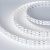 Лента RT-B144-19mm 24V White6000 (34.4 W/m, IP20, 5060, 5m) (Arlight, Открытый) Лента RT-B144-19mm 24V White6000 (34.4 W/m, IP20, 5060, 5m) (Arlight, Открытый)