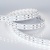 Лента RT-B144-19mm 24V White6000 (34.4 W/m, IP20, 5060, 5m) (Arlight, Открытый) Лента RT-B144-19mm 24V White6000 (34.4 W/m, IP20, 5060, 5m) (Arlight, Открытый)