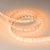 Лента RT-B60-10mm 24V Orange (14.4 W/m, IP20, 5060, 5m) (Arlight, 14.4 Вт/м, IP20) Лента RT-B60-10mm 24V Orange (14.4 W/m, IP20, 5060, 5m) (Arlight, 14.4 Вт/м, IP20)