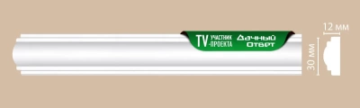 Молдинг гладкий Decomaster DP8032 (30*12*2400)