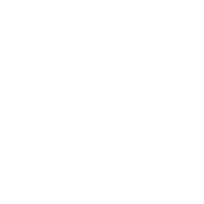 FRACTALITY
