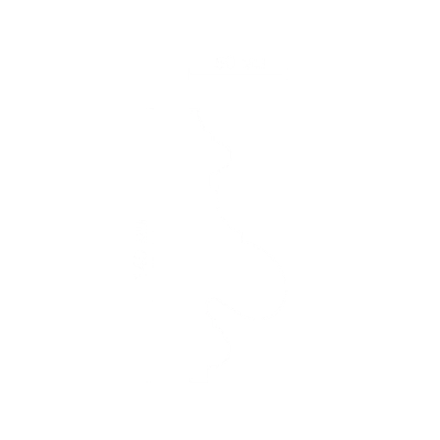 Молдинг SMG259