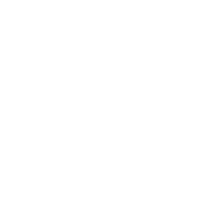 Розетка гладкая SRT25