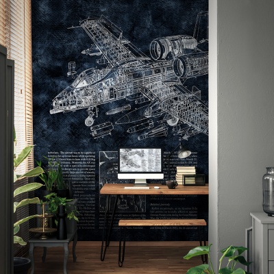 BATTLE PLANE