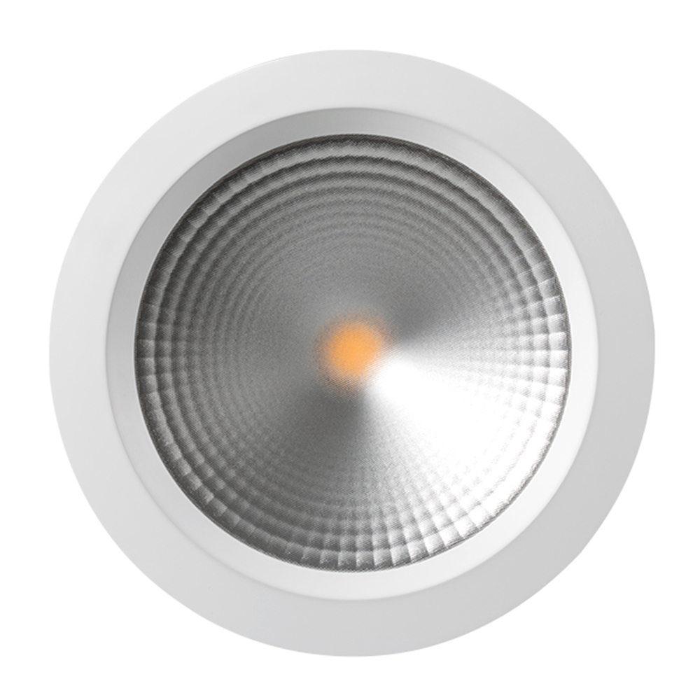 Светодиодный светильник LTD-220WH-FROST-30W White 110deg (Arlight, IP44 Металл, 3 года) Arlight 021497
