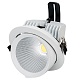 Светильник LTD-150WH-EXPLORER-30W Warm White 38deg (Arlight, IP20 Металл, 3 года) Arlight 024025