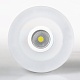 Светильник LTD-80R-Opal-Roll 2x3W Warm White (Arlight, IP40 Пластик, 3 года) Arlight 020812