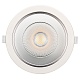 Светильник LTD-LEGEND-R175-20W White6000 (WH, 50 deg) (Arlight, IP20 Металл, 3 года) Arlight 027314