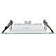 Светодиодная панель LT-S160x160WH 12W Warm White 120deg (Arlight, IP40 Металл, 3 года) Arlight 015562