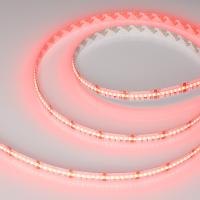 Светодиодная лента CSP-X840-12mm 24V RGBW-Warm (17.2 W/m, IP20, 5m) (Arlight, 5 лет)