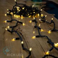 Светодиодная гирлянда Rich LED 10 м, 100 LED, 24 В, соединяемая, тепло белая, черный резиновый провод, Светодиодная гирлянда Rich LED 10 м, 100 LED, 24 В, соединяемая, тепло белая, черный резиновый провод,