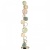 Торшер Odeon Light Caramella 5412/68FL Торшер Odeon Light Caramella 5412/68FL