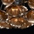 Потолочная люстра MW-Light Розенхейм 3 615011106 Потолочная люстра MW-Light Розенхейм 3 615011106