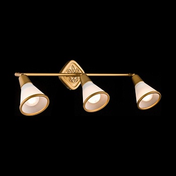 Спот Maytoni Luther ECO008-03-G