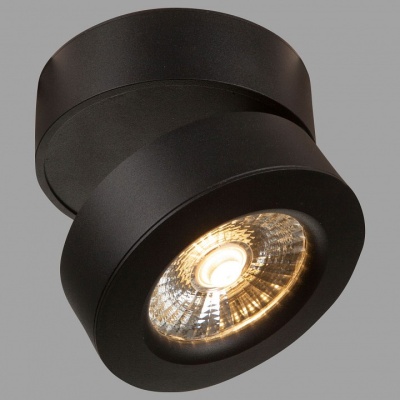 Потолочный светильник Technical C023CL-L20B