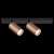 Спот Maytoni Focus S C051CL-02BC Спот Maytoni Focus S C051CL-02BC