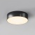 Потолочный светильник Outdoor O431CL-L30B3K Потолочный светильник Outdoor O431CL-L30B3K