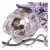 Потолочная люстра Arte Lamp Fanfan A3112PL-14CC Потолочная люстра Arte Lamp Fanfan A3112PL-14CC