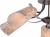 Потолочная люстра Arte Lamp Leticia A6212PL-5WG Потолочная люстра Arte Lamp Leticia A6212PL-5WG