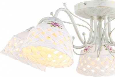 Потолочная люстра Arte Lamp Wicker A6616PL-5WG