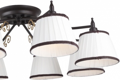 Потолочная люстра Arte Lamp Capri A6344PL-8BR