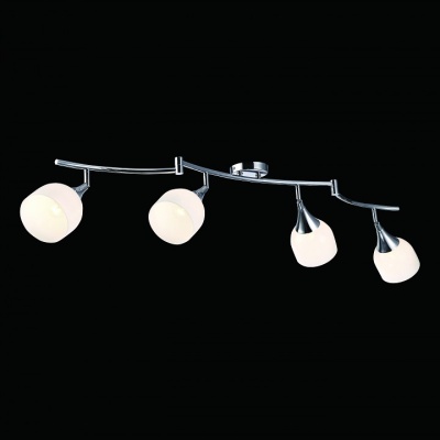 Спот Arte Lamp Trumpet A9556PL-4CC