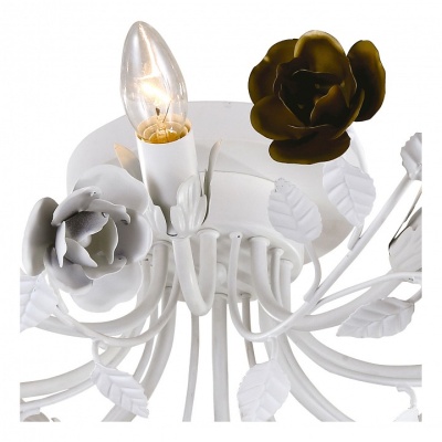Потолочная люстра Arte Lamp Rosarium A1196PL-8WG