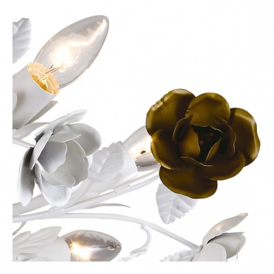Потолочная люстра Arte Lamp Rosarium A1196PL-8WG