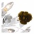 Потолочная люстра Arte Lamp Rosarium A1196PL-8WG Потолочная люстра Arte Lamp Rosarium A1196PL-8WG