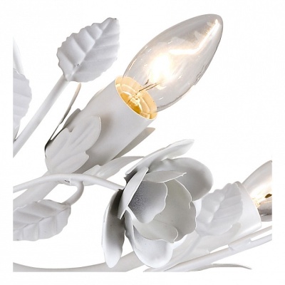 Потолочная люстра Arte Lamp Rosarium A1196PL-8WG