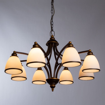 Подвесная люстра Arte Lamp Bonito A9518LM-8BA