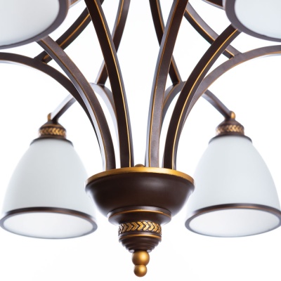 Подвесная люстра Arte Lamp Bonito A9518LM-8BA