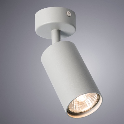 Спот Arte Lamp Aquarius A3216PL-1GY