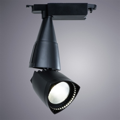 Светильник на штанге Arte Lamp 3830 A3830PL-1BK