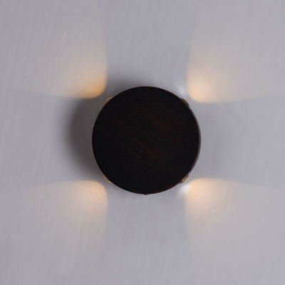 Накладной светильник Arte Lamp Tamburello A1525AP-1RI