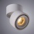 Накладной светильник Arte Lamp Arcturus A7715PL-1WH Накладной светильник Arte Lamp Arcturus A7715PL-1WH